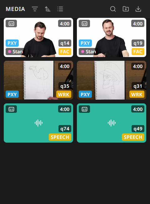 The Media panel in grid view, showing video and audio clips with durations