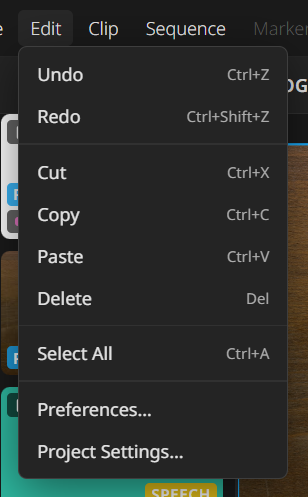 The Edit menu open