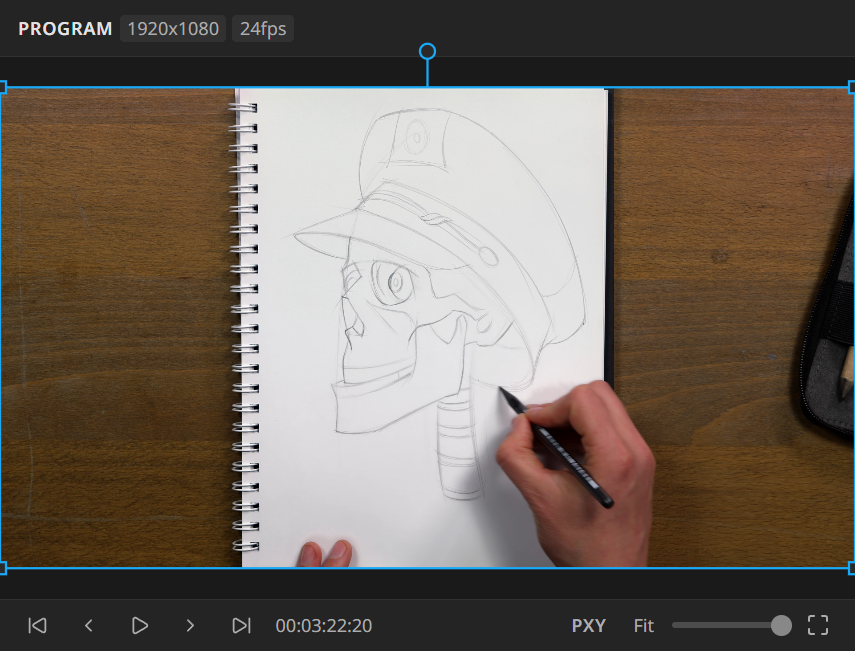 The Preview panel showing the current frame, with playback controls underneath
